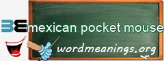 WordMeaning blackboard for mexican pocket mouse